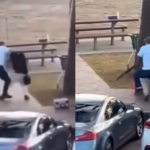 El momento en el que un civil logró desarmar a uno de los tiradores del ataque terrorista en Australia