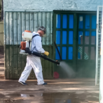 Avanzan las tareas de fumigación en diferentes puntos de la ciudad