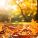 Hoy comenzó el otoño en Argentina