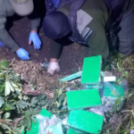 Golpe al narcotráfico: enterró 60 kilos de cocaína en el patio de la casa de su madre; la mujer se desmayó durante el allanamiento