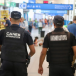 Más de 254 kilos de droga ya fueron retirados de circulación en Neuquén