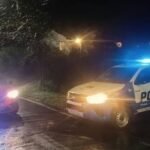 Conmoción en Villa La Angostura por la muerte de una niña de 3 años tras un violento ataque