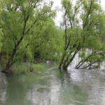 Alerta por la crecida del río Neuquén: ajustarán las erogaciones para enfrentar nuevas lluvias