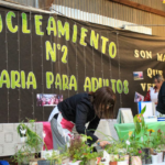 Zapala se prepara para una nueva edición de la Expo Adultos