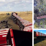 Un tren cargado con carbón se descarriló en Santa Cruz y apuntan a un posible sabotaje